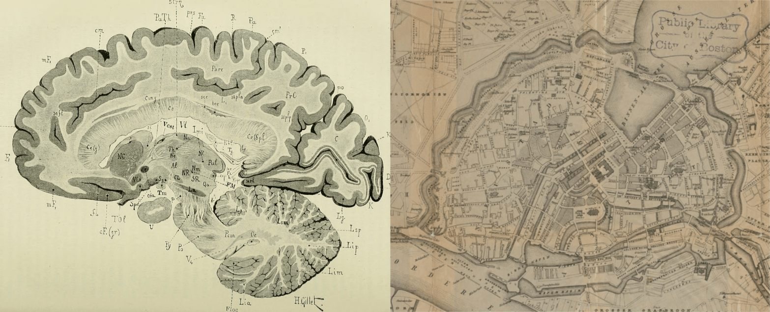H. Gillet, illustration from Anatomie des centres nerveux, 1895; and George Bradshaw, Plan of Haumburg, ca. 1850-1859.