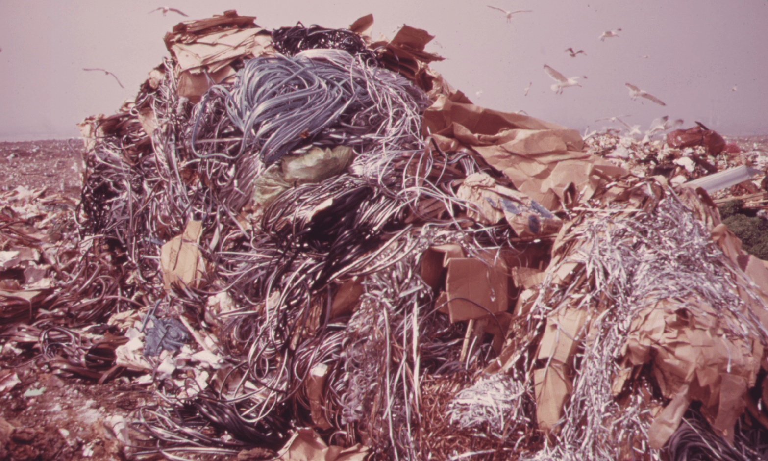 Garbage dumped in the marshes of Spring Creek in Jamaica Bay. US EPA, 1973, public domain.